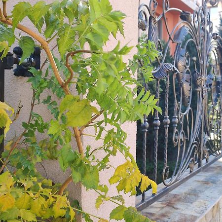 Guest House Via Sapareva Banya Exterior photo