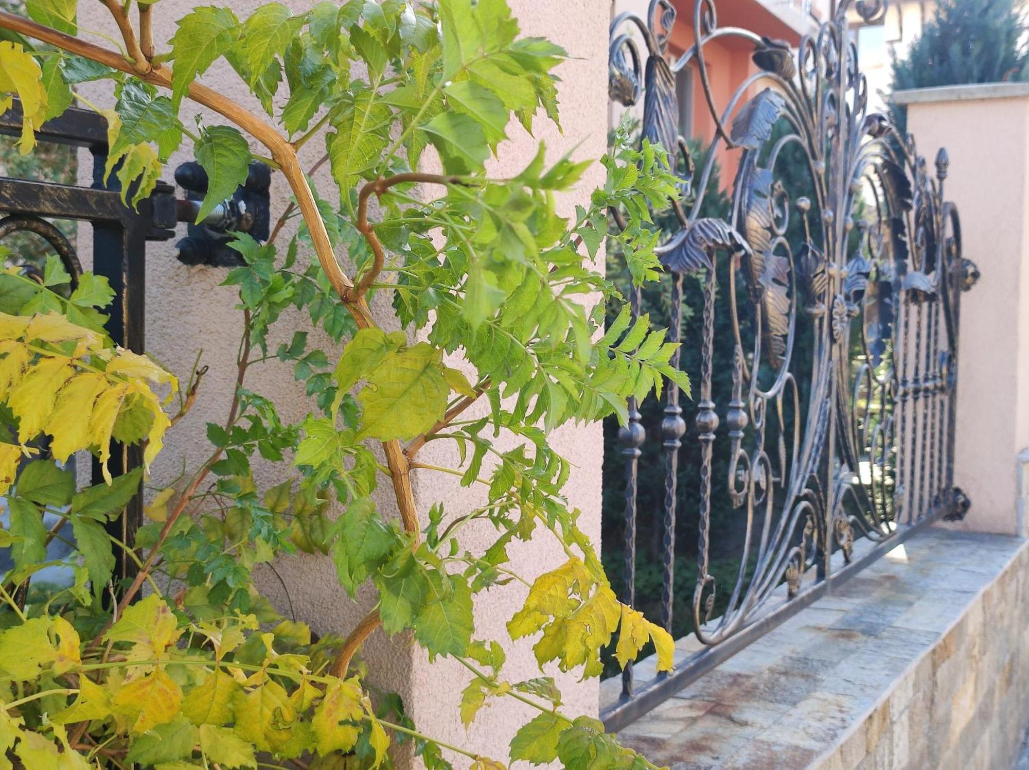 Guest House Via Sapareva Banya Exterior photo