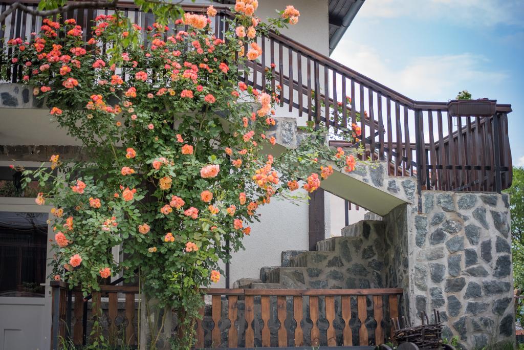 Guest House Via Sapareva Banya Exterior photo